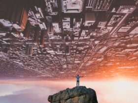 5 lições que aprendi ao aceitar a mudança