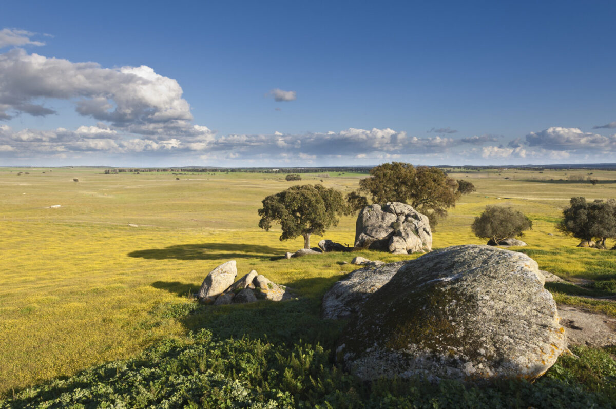 De Lisboa para o interior: Uma viagem com cheiro a terra