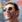Imagem do avatar